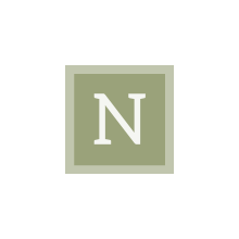 preview-thumbgrid-#9aa27a-alphanumeric/aleo-white/N.png-255,255,255,0.7.png (220×220 px, 2 KB)