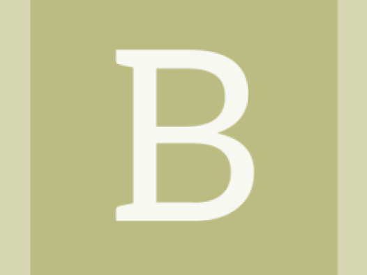 workcard-pinboard-#bbbc81-alphanumeric/aleo-white/B.png-255,255,255,0.7.png (394×526 px, 11 KB)