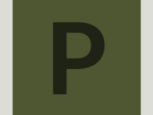 workcard-pinboard-#4e5632-alphanumeric/lato-dark/P.png-255,255,255,0.4.png (394×526 px, 6 KB)