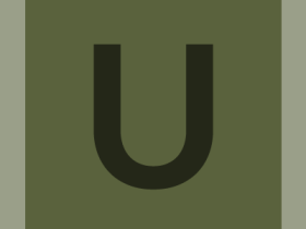 pinboard-pinboard-#5a623d-alphanumeric/lato-dark/U.png-255,255,255,0.7.png (210×280 px, 2 KB)