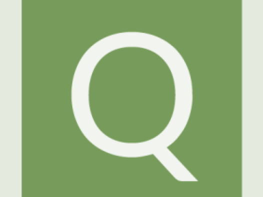 workcard-pinboard-#769b5a-alphanumeric/aleo-white/Q.png-255,255,255,0.4.png (394×526 px, 21 KB)