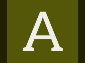 pinboard-pinboard-workcard-#545608-alphanumeric/aleo-white/A.png-0,0,0,0.3.png (210×280 px, 6 KB)