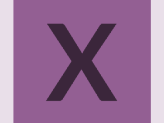 workcard-pinboard-#935f93-alphanumeric/lato-dark/X.png-255,255,255,0.4.png (394×526 px, 16 KB)