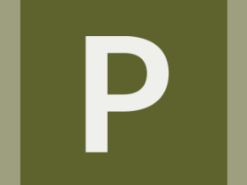 pinboard-workcard-#5e622c-alphanumeric/lato-white/P.png-255,255,255,0.7.png (210×280 px, 3 KB)