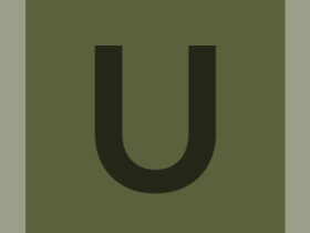 pinboard-workcard-#5a623d-alphanumeric/lato-dark/U.png-255,255,255,0.7.png (210×280 px, 3 KB)